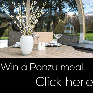 win-competition-meal-ponzu