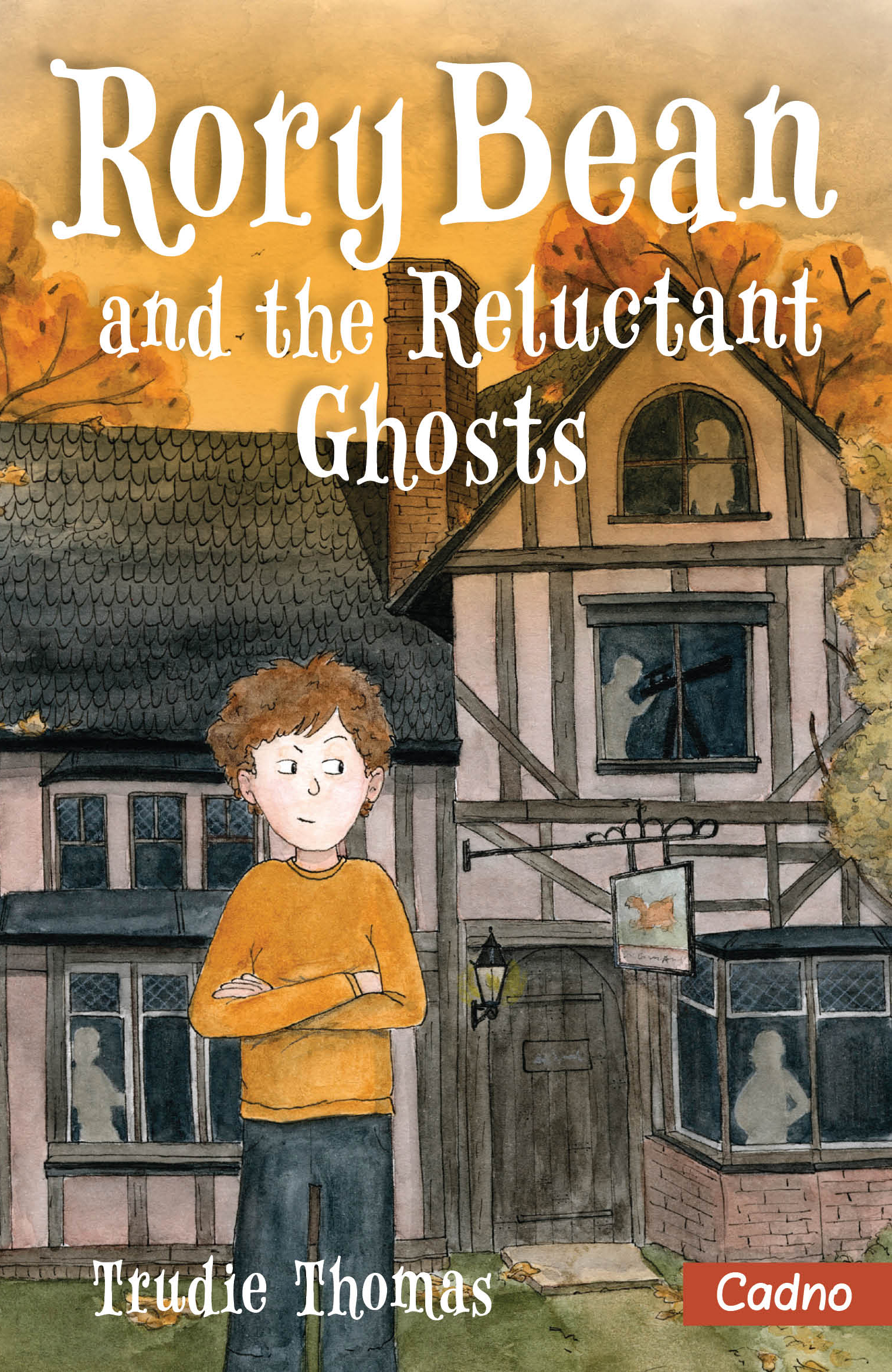 Rory Bean book cover